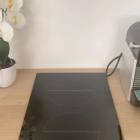 Apartment Casa Luciana